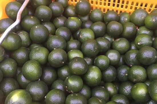 家庭自制柑普茶方法，小青柑制作9個(gè)步驟竅門（圖片）