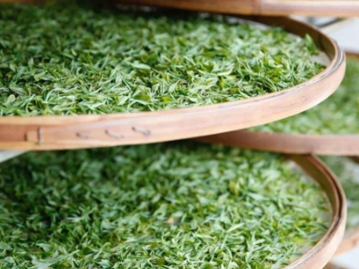 云南八大茶系分別是哪些，都是什么名字