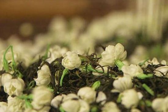 蒸茶器可以蒸花茶嗎，蒸茶器能用來蒸茉莉花茶嗎？