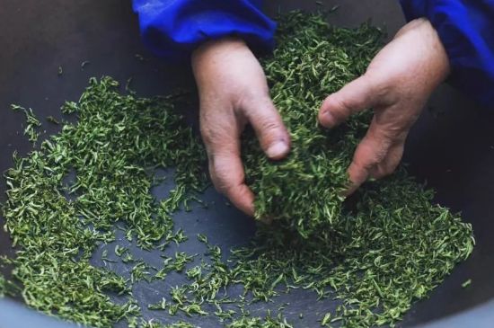 自家炒茶葉怎么炒，自己炒茶葉的步驟