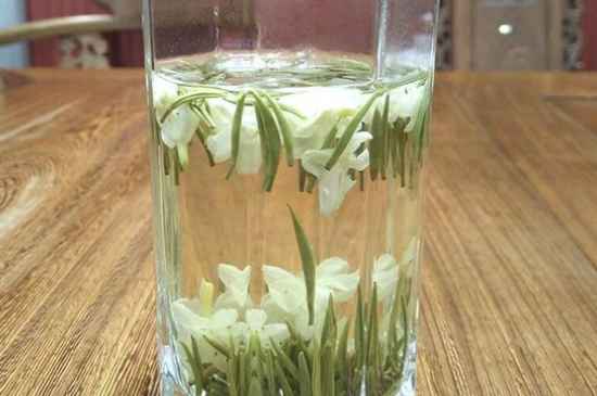 女孩喝茉莉茶的好處，茉莉茶葉的功效與禁忌