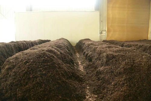 制茶八步驟，制茶工藝流程圖