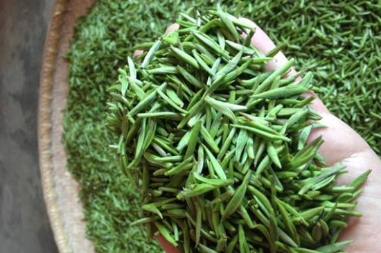 采茶的方法與步驟，如何正確采摘茶葉？