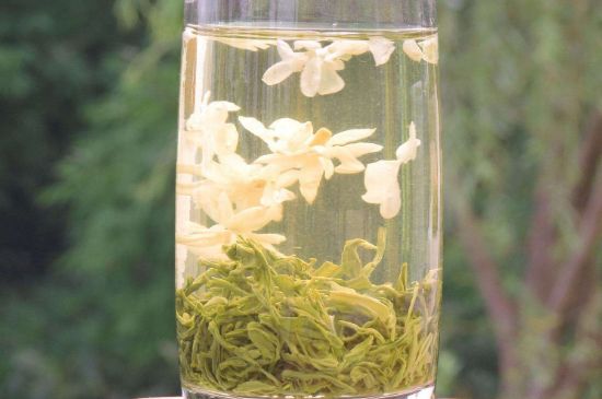 茉莉龍珠可以和什么一起泡茶，茉莉龍珠茶能加蜂蜜嗎？