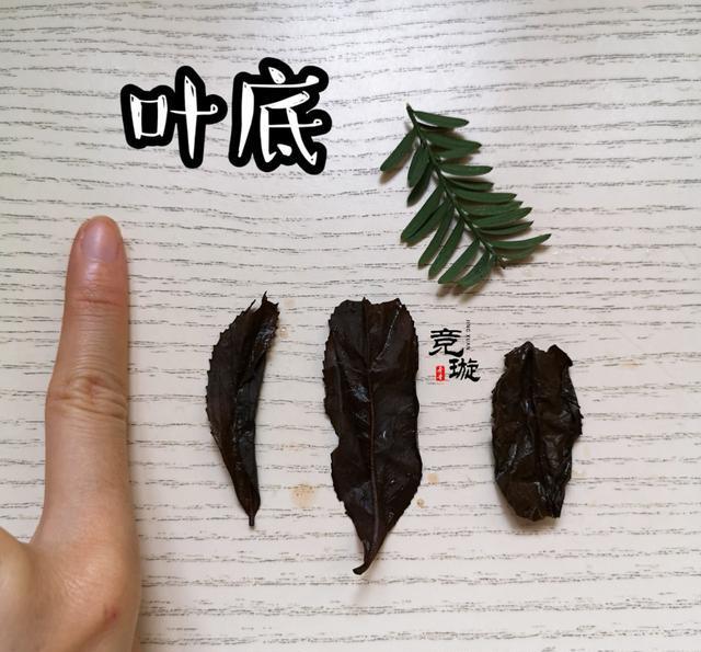 正山小種很細(xì)還很黑亮，正山小種越細(xì)越好嗎