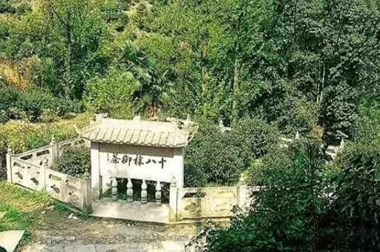 母樹(shù)大紅袍給誰(shuí)喝了，為什么母樹(shù)大紅袍叫三棵六株？