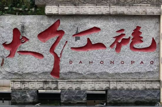 母樹(shù)大紅袍給誰(shuí)喝了，為什么母樹(shù)大紅袍叫三棵六株？