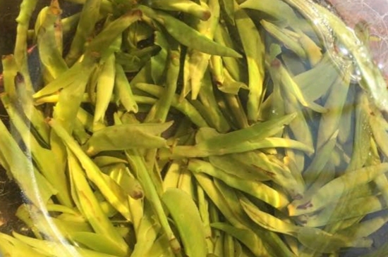 龍井是明前的好還是雨前的好，明前茶和雨前茶哪個(gè)好喝？