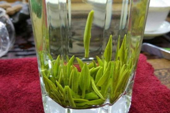 雀舌有一股青草味，雀舌為什么有青草味？