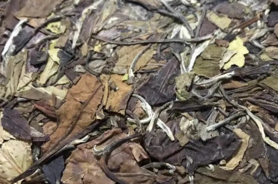 老白茶上火還是去火？夏季喝煮的老白茶會容易上火！