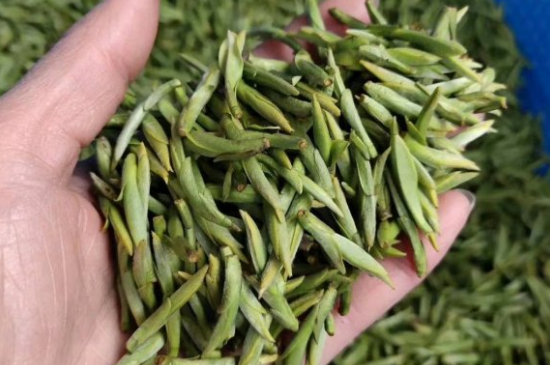 龍井茶好壞的鑒別圖片，如何區(qū)別龍井茶的好壞？