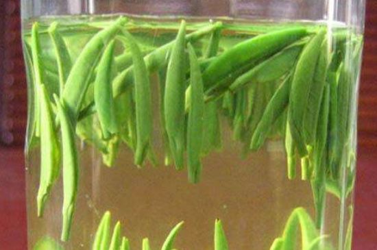 竹葉青和毛尖的區(qū)別，毛尖和竹葉青怎么分辨？