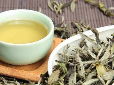 大紅袍好還是白茶好，福鼎白茶和大紅袍哪個貴？