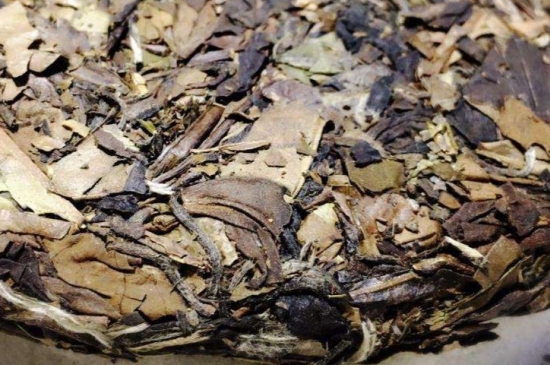 煮茶的步驟圖解，正確的煮白茶方法！