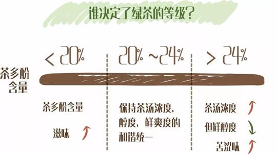 什么綠茶口味重口感濃郁，口味比較重的綠茶都有那些？