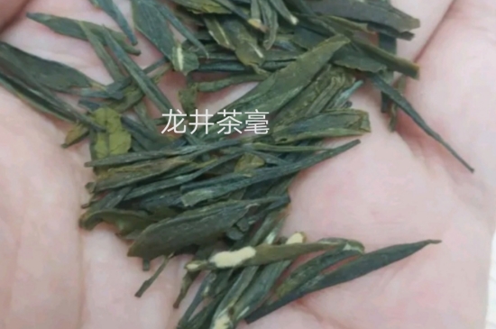 西湖龍井茶毫和發(fā)霉區(qū)別圖片，長霉的龍井茶葉會是什么樣？