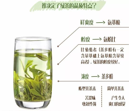 什么綠茶口味重口感濃郁，口味比較重的綠茶都有那些？