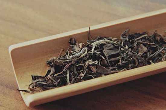 怎么撬老白茶茶餅不容易碎，福鼎白茶如何撬茶方法