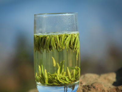 竹葉青茶怎么樣，檔次較高味道略苦價(jià)格比較貴