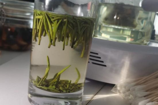 金壇雀舌算不算好茶，金壇雀舌屬于什么檔次茶葉？