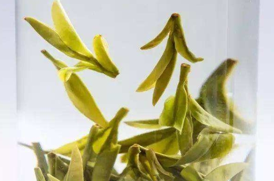 烏牛早和龍井的區(qū)別圖片，龍井43號(hào)和烏牛早茶的對(duì)比