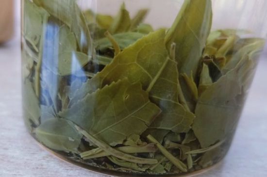 綠茶陳茶和新茶區(qū)別，綠茶怎樣區(qū)分新茶和陳茶