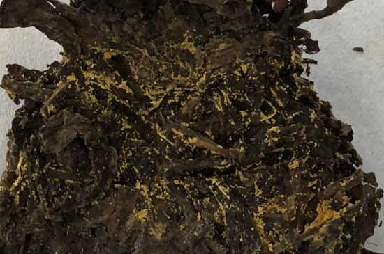 怎么知道涇渭茯茶是否變質(zhì)，茯磚茶金花和發(fā)霉的區(qū)別