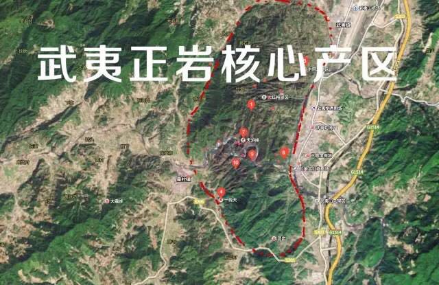 武夷山為什么盛產(chǎn)茶葉，武夷山茶為什么好喝？