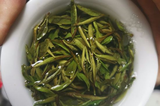 什么人不能喝白茶，白茶不宜什么人喝？