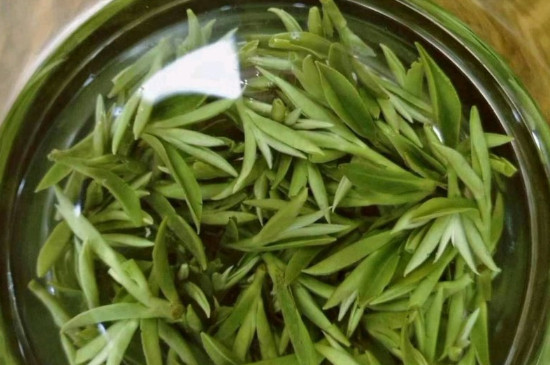 什么綠茶茶葉唇齒留香，哪個(gè)品種綠茶香氣好？