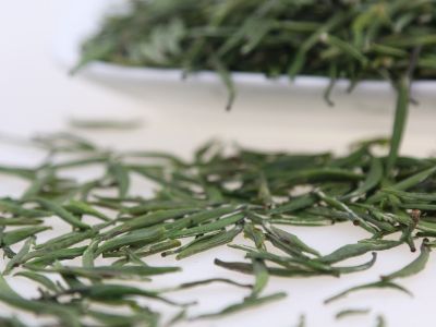 霍山黃芽算是好茶嗎，霍山黃芽屬于什么茶？