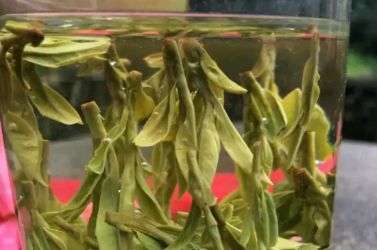 什么綠茶最香最好喝，綠茶口感與香氣排名