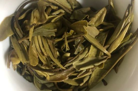 三年白茶賽砒霜，這是真的嗎？