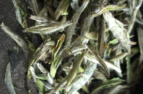 白毫銀針年份久的有什么香，陳年白毫銀針的香氣