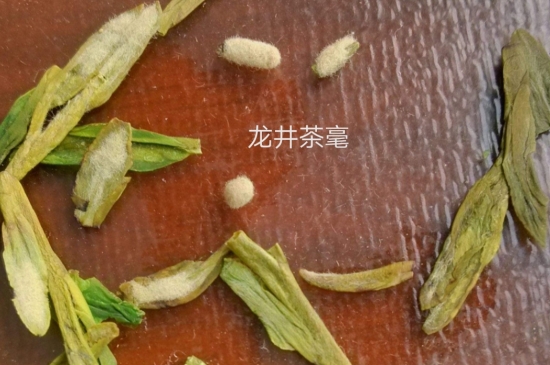西湖龍井茶毫和發(fā)霉區(qū)別圖片，長霉的龍井茶葉會是什么樣？