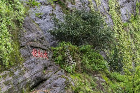 大紅袍為什么沒保質(zhì)期，武夷巖茶大紅袍能放幾年？