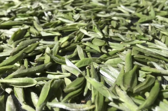 白毫銀針年份久的有什么香，陳年白毫銀針的香氣