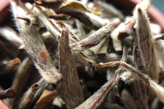 白毫銀針年份越久越好嗎，銀針白毫是否越陳越好