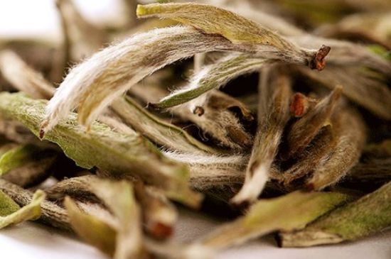 荒野銀針有什么特點(diǎn)，荒野銀針的味道口感咋樣？