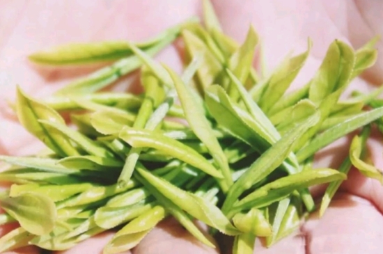 龍井是明前的好還是雨前的好，明前茶和雨前茶哪個(gè)好喝？