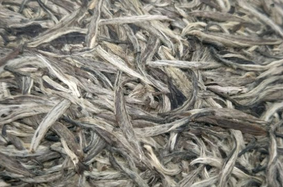 白毫銀針年份久的有什么香，陳年白毫銀針的香氣