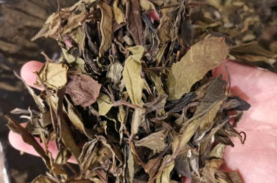 新舊白茶怎么區(qū)分，怎么分辨白茶是新還是舊