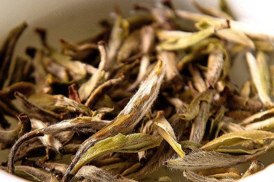 荒野銀針市場價多少，真正的荒野白毫銀針多少錢？