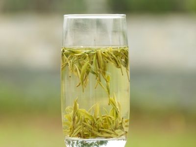 霍山黃芽算是好茶嗎，霍山黃芽屬于什么茶？
