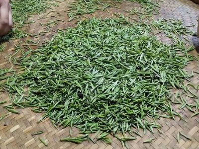 金駿眉幾年可以算陳茶，金駿眉新茶好還是老茶