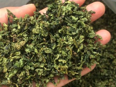 鐵觀音毛茶茶?？梢耘菟葐?，鐵觀音帶梗是不是好茶？