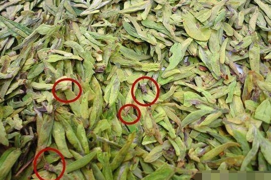 烏牛早和龍井的區(qū)別圖片，龍井43號(hào)和烏牛早茶的對(duì)比