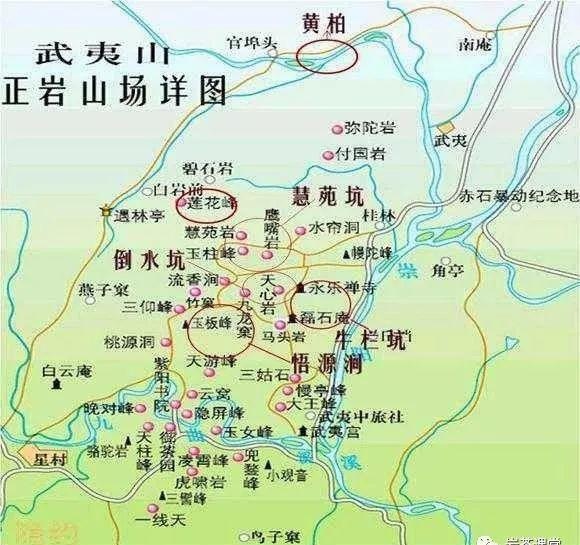 300塊錢的金駿眉能喝嗎，兩三百多金駿眉和一千多區(qū)別