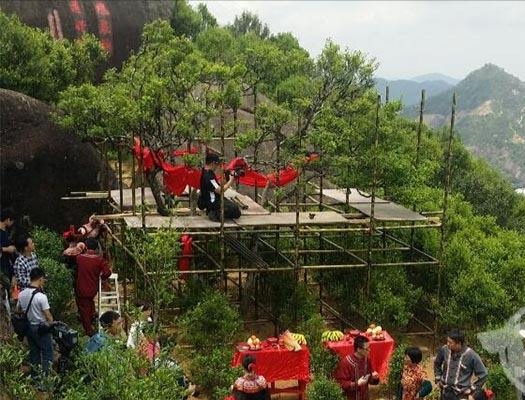 宋種一號(hào)價(jià)值為什么高，鳳凰單樅宋種1號(hào)價(jià)格與產(chǎn)量多少？