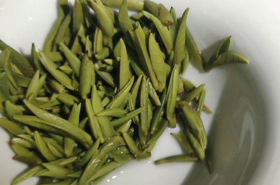 竹葉青茶怎么泡，竹葉青如何沖泡